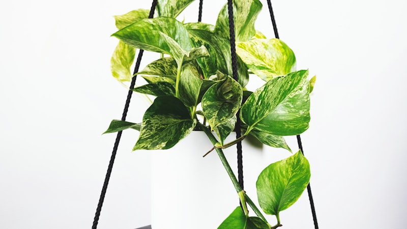 英超联赛直播画面 - 曼城与阿森纳在伊蒂哈德球场的比赛